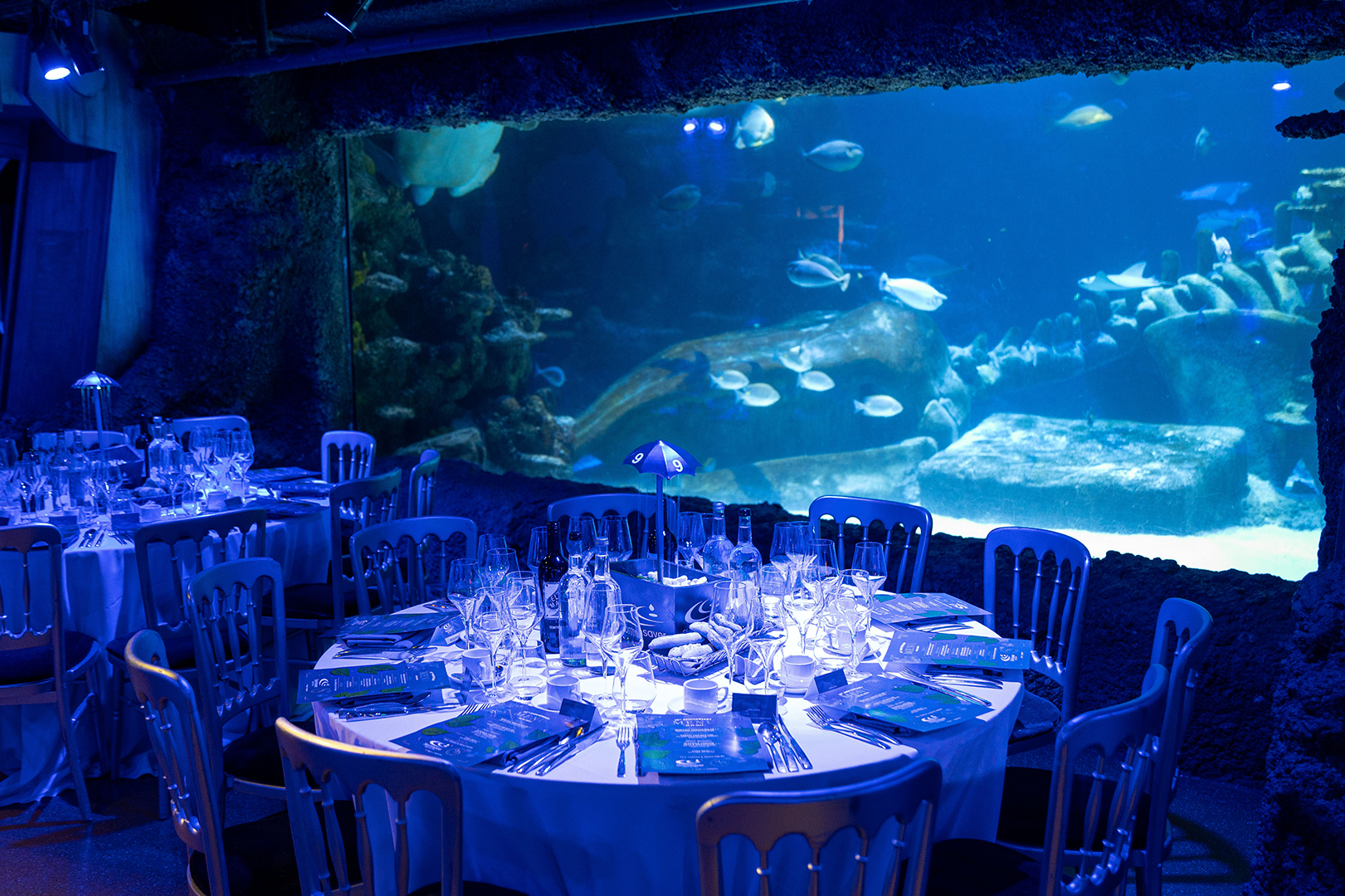 Dine in style at one of our Sea Life London Aquarium spaces.